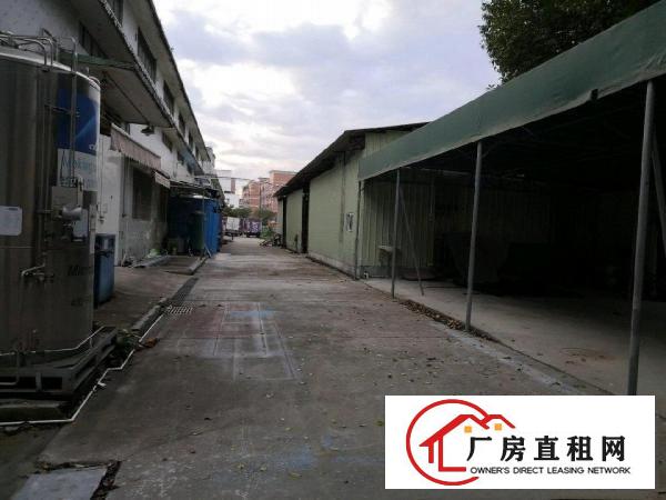  新装办公室，水电齐全钢构厂房