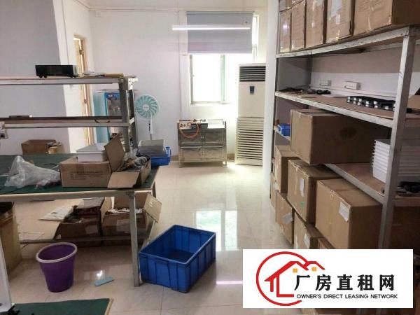  出租塘厦镇新行政中心