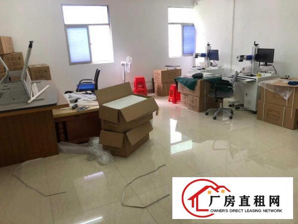  出租塘厦镇新行政中心