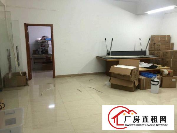  出租塘厦镇新行政中心
