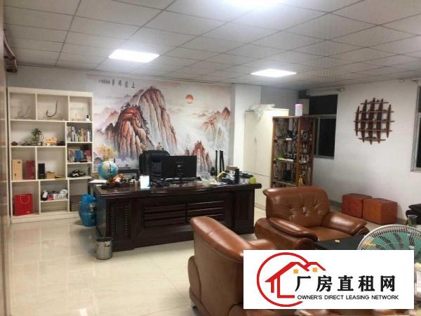  出租塘厦镇新行政中心