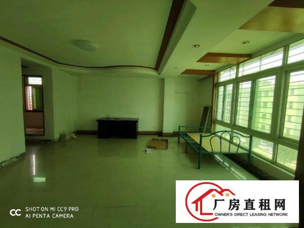  蛟乙塘商业街北9号一房一厅出租