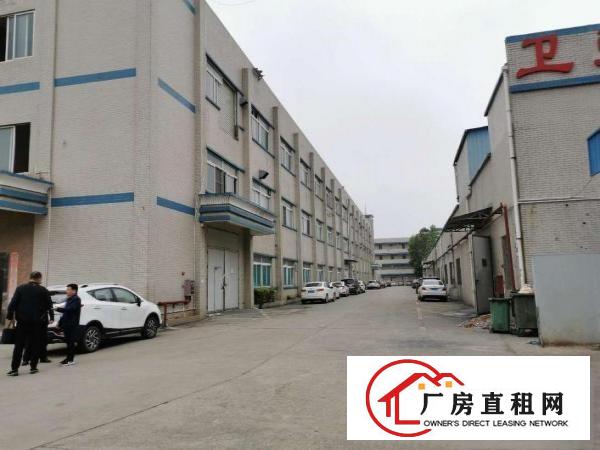  标准小独院8000方园区式管理一楼仓库大小面积可分割