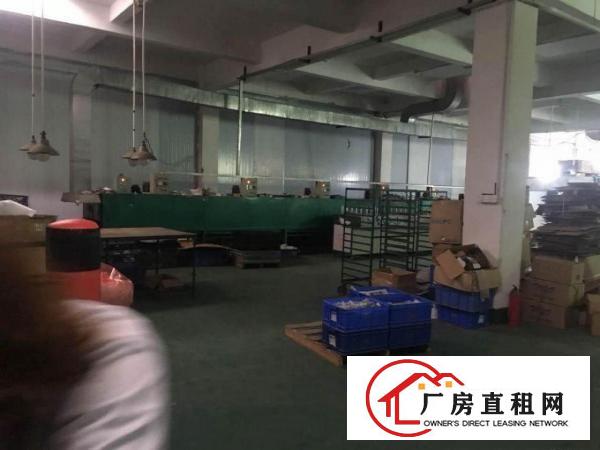  临深区，塘厦大坪500平方精装修独院一楼厂房/科苑城