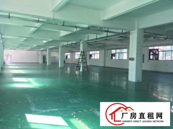  塘厦清湖头6000平方带红本证独院厂房！重工业！电子五金业