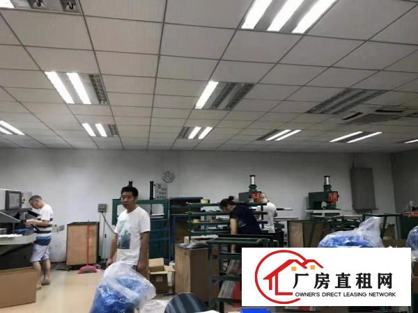  出租塘厦镇工业区260平方厂房。精装修，水电齐全位置好
