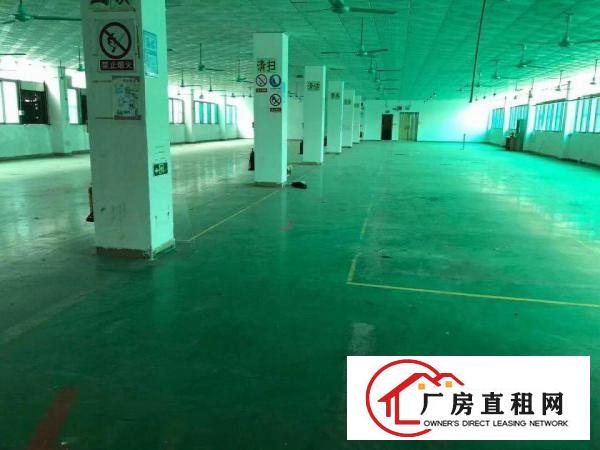  塘厦带塑胶玩具喷油独院厂房出租4200平有喷油证环保证
