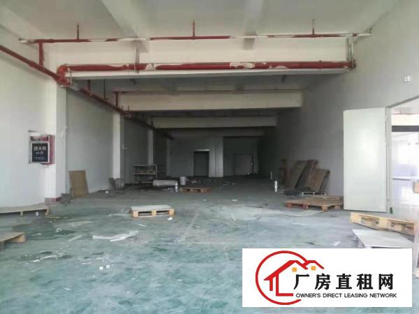  塘厦莲湖两个小面积组装加工厂房出租300和600平方