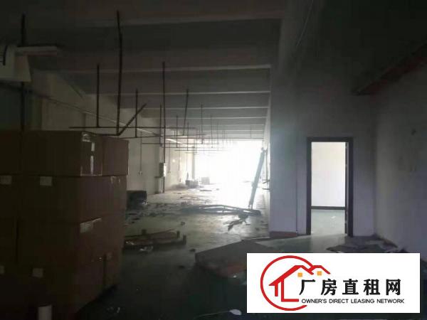  塘厦莲湖两个小面积组装加工厂房出租300和600平方