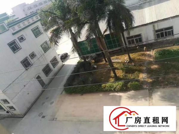  塘厦莲湖两个小面积组装加工厂房出租300和600平方