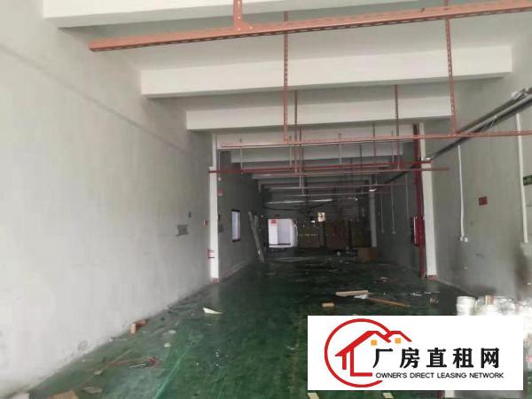  塘厦莲湖两个小面积组装加工厂房出租300和600平方