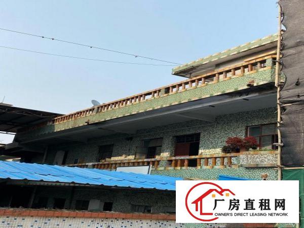  整栋出租，交通便利，独门独院