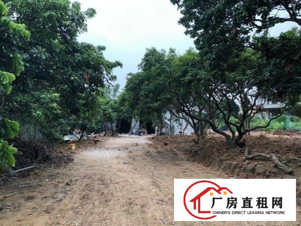  塘厦林村德州城旁全新厂房400平米空地数百平方