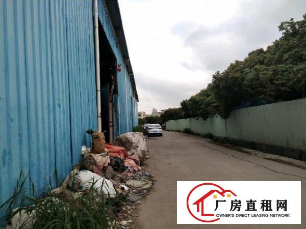  东莞塘厦清湖头铁皮840平出租
