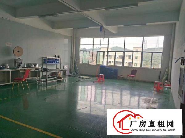  塘厦新出楼上600平精装修厂房，价格便宜