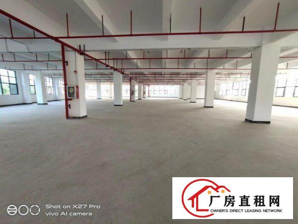  塘厦大坪红本厂房3栋88000㎡可分租主线到车间出租