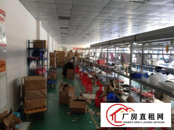  塘厦莲湖食品厂4400平带证独院厂房，大小可分，消防合格