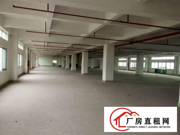  三局工业区500平，加工，贸易办公，仓库都可，可分租