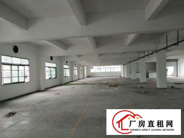  田心带现成地坪漆!玻璃办公室!水电齐全800平