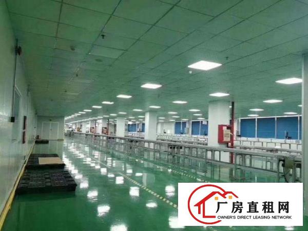  龙背岭新出一楼1500平带阁楼办公室厂房招租