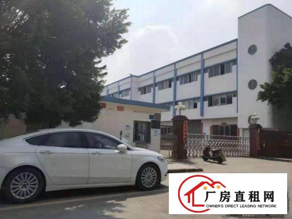  龙背岭新出一楼1500平带阁楼办公室厂房招租