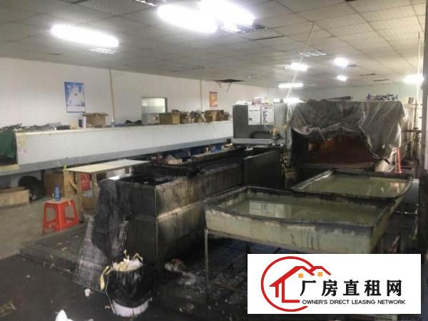  塘厦平山6080平方米配大空地独院厂房，清湖头/振兴围/石鼓