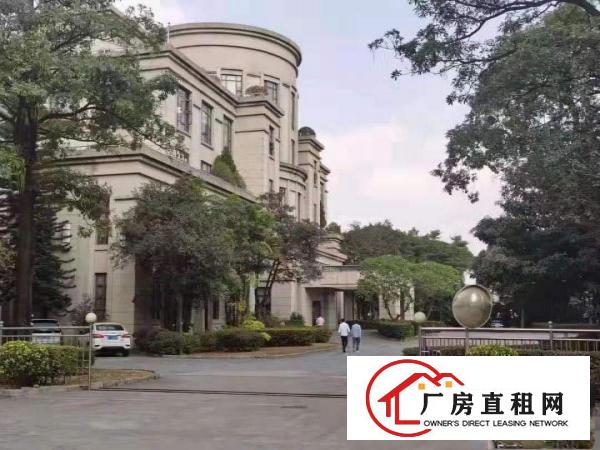  物流园/快递仓库/大坪房东直租20000平方米单一层独院厂房