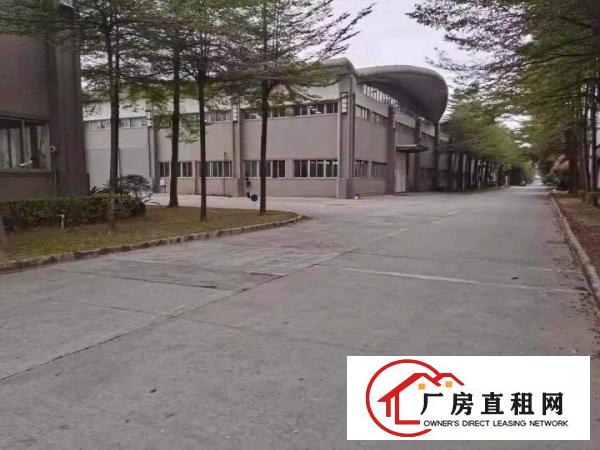  物流园/快递仓库/大坪房东直租20000平方米单一层独院厂房