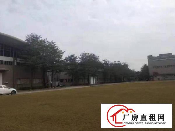  物流园/快递仓库/大坪房东直租20000平方米单一层独院厂房