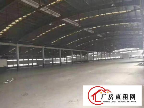  物流园/快递仓库/大坪房东直租20000平方米单一层独院厂房