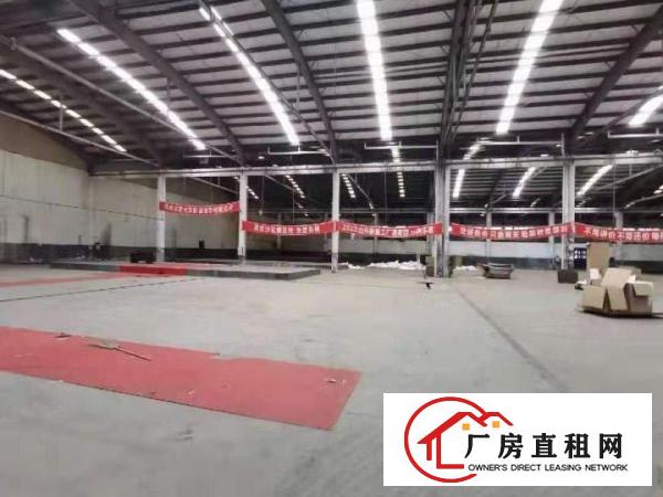  物流园/快递仓库/大坪房东直租20000平方米单一层独院厂房
