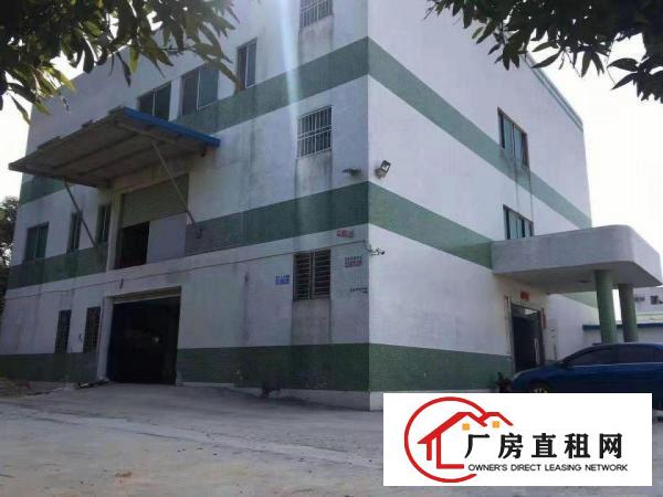  塘厦石鼓2880原房东独院厂房，带办公室电315，挨深圳