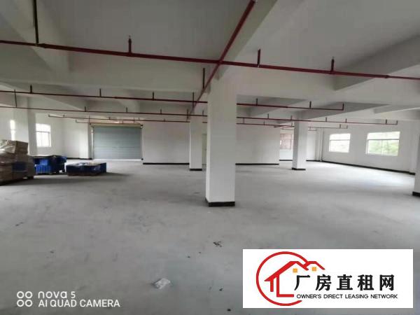  塘厦凤凰岗3至7楼780平方/层可分租免租期长 空地大