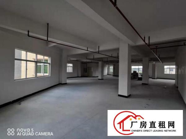  塘厦凤凰岗3至7楼780平方/层可分租免租期长 空地大