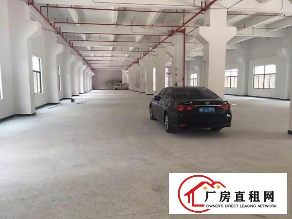  塘厦大坪红本10000平方米重工业独院厂房 科苑城/沙湖