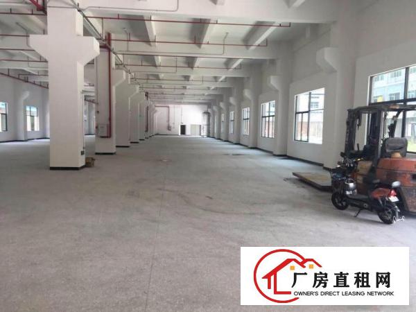  塘厦大坪红本10000平方米重工业独院厂房 科苑城/沙湖