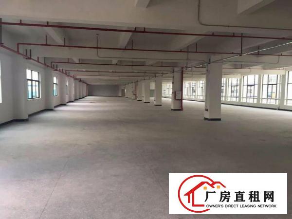  塘厦大坪红本10000平方米重工业独院厂房 科苑城/沙湖
