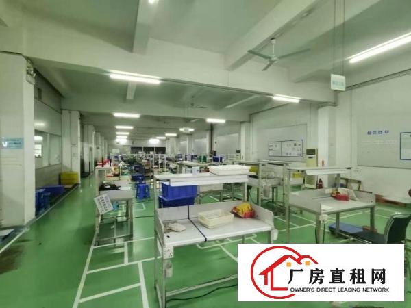  ~实拍！塘厦振兴围2800平米3至4F厂房，共5600平方~