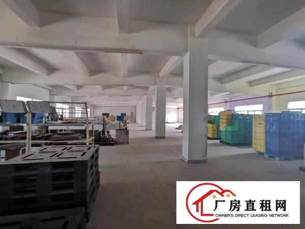  ~实拍！塘厦振兴围2800平米3至4F厂房，共5600平方~