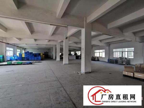  ~实拍！塘厦振兴围2800平米3至4F厂房，共5600平方~