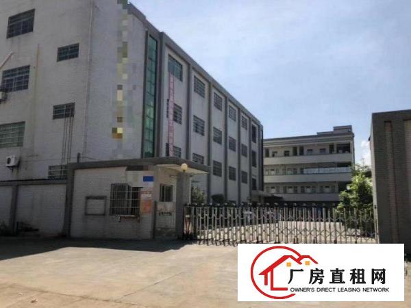  振兴围新出精装修1500平厂房两个全新货梯，可办环评