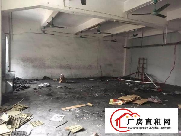  好消息。优势：临深，小加工厂，类型：400平方米标准一楼厂房