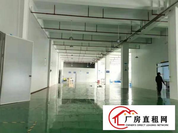  塘厦石鼓独院厂房4000平方带有办公装修出租