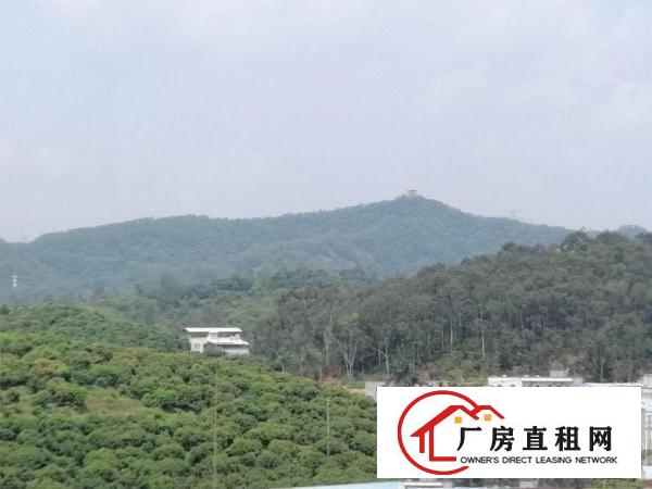  大坪新厂房800-1600平灵活分租或转租