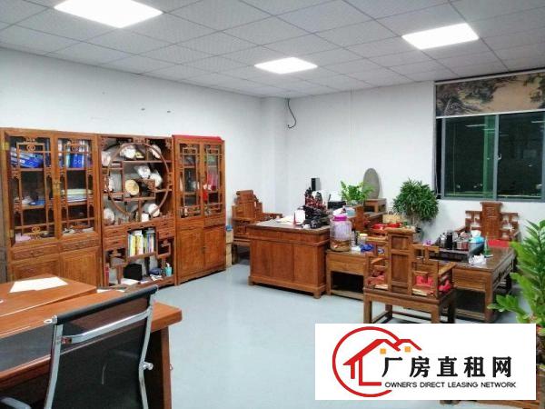  大坪新厂房800-1600平灵活分租或转租