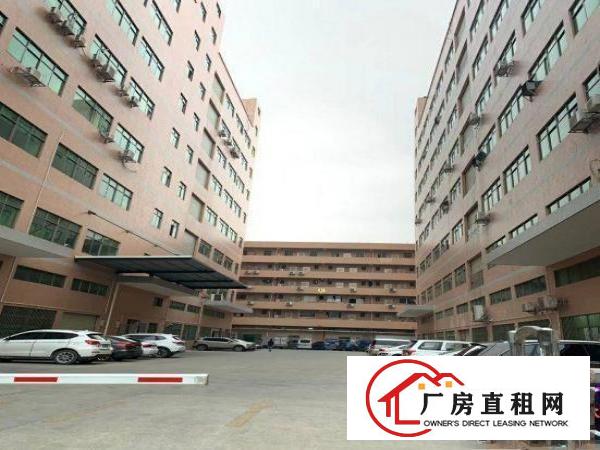  沙湖工业区附近新出原房东一楼1200平厂房出租