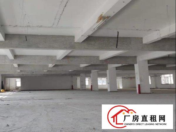  田心工业区精品厂房出租1000平，可环评