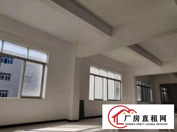  田心工业区精品厂房出租1000平，可环评