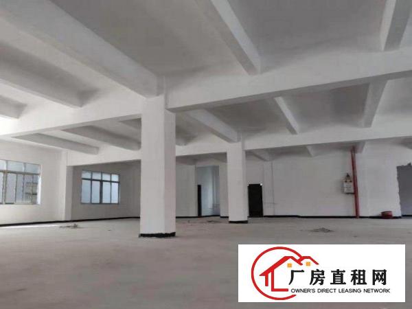  田心工业区精品厂房出租1000平，可环评