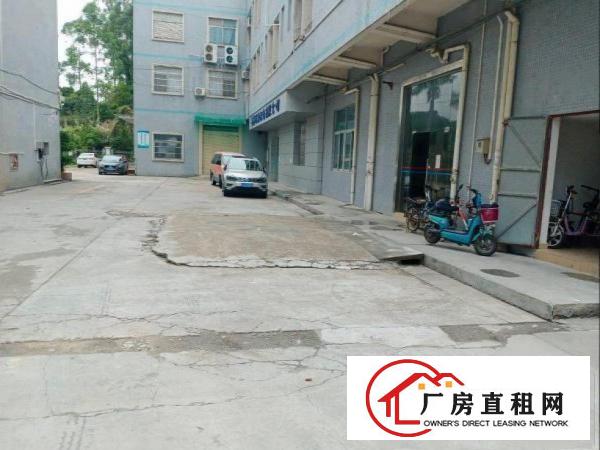  龙背岭工业区新出一楼400方，800方带办公装修厂房